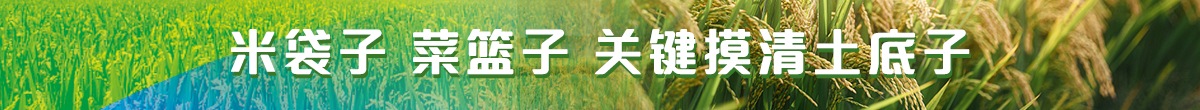 米袋子 菜籃子 關鍵摸清土底子